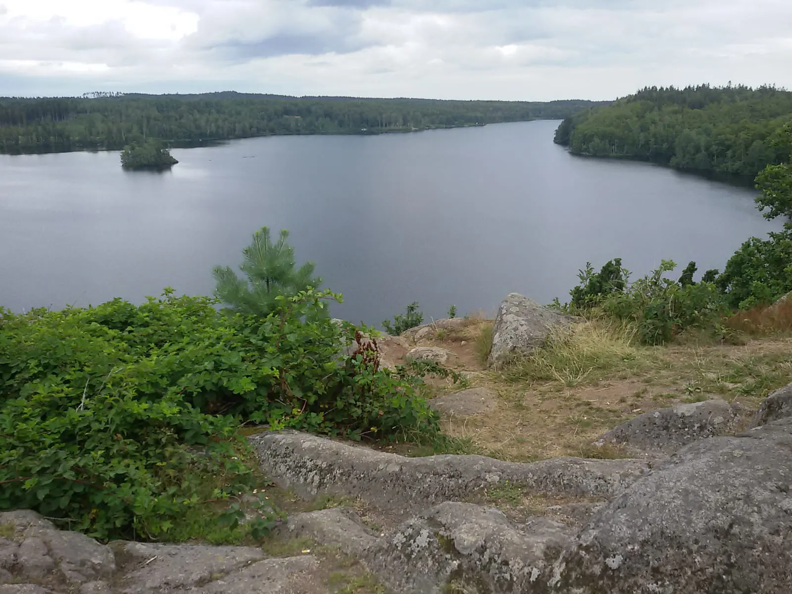 Vid utsikt över en stilla skogssjö i södra Sverige